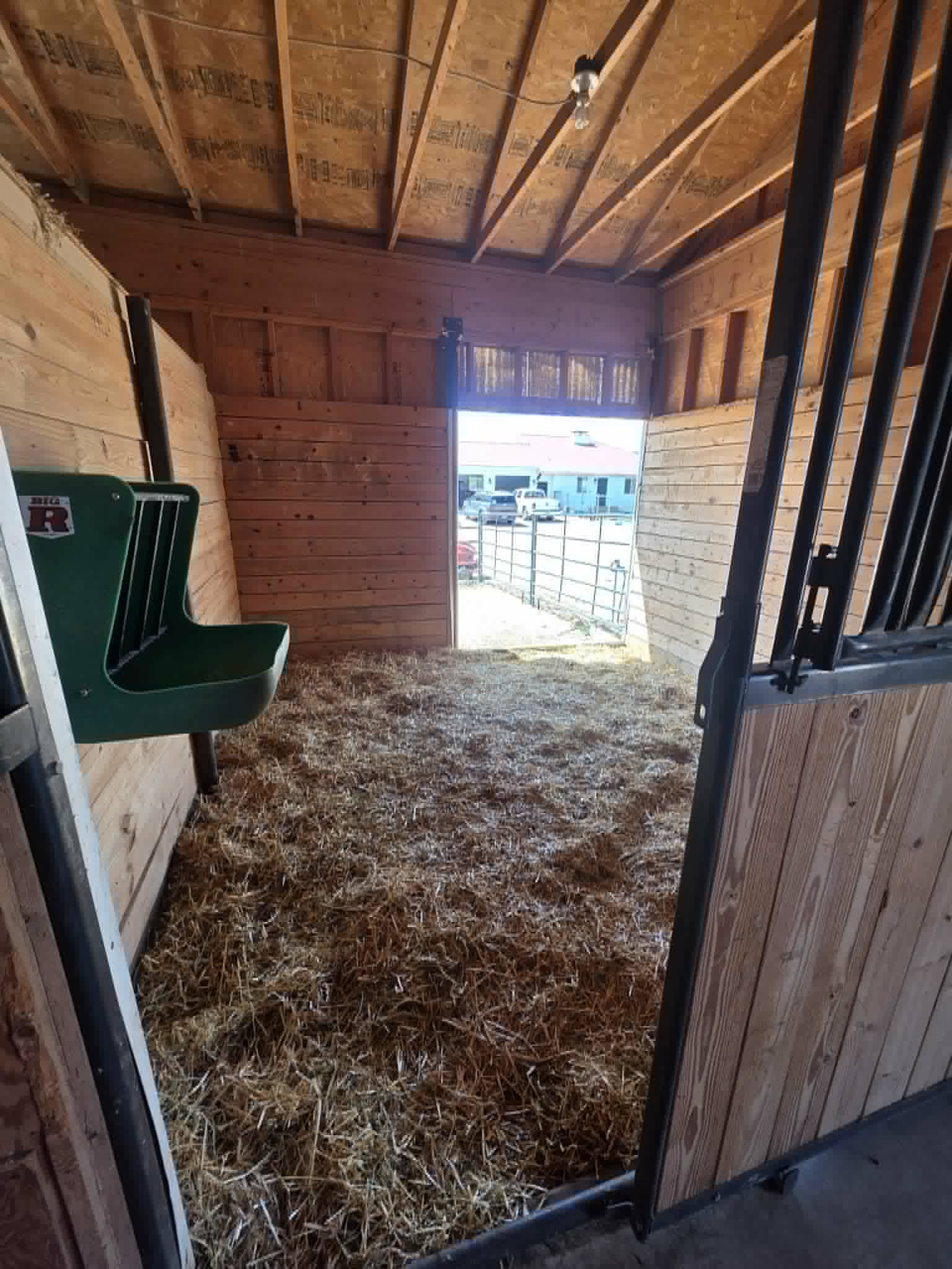 The Equine Program