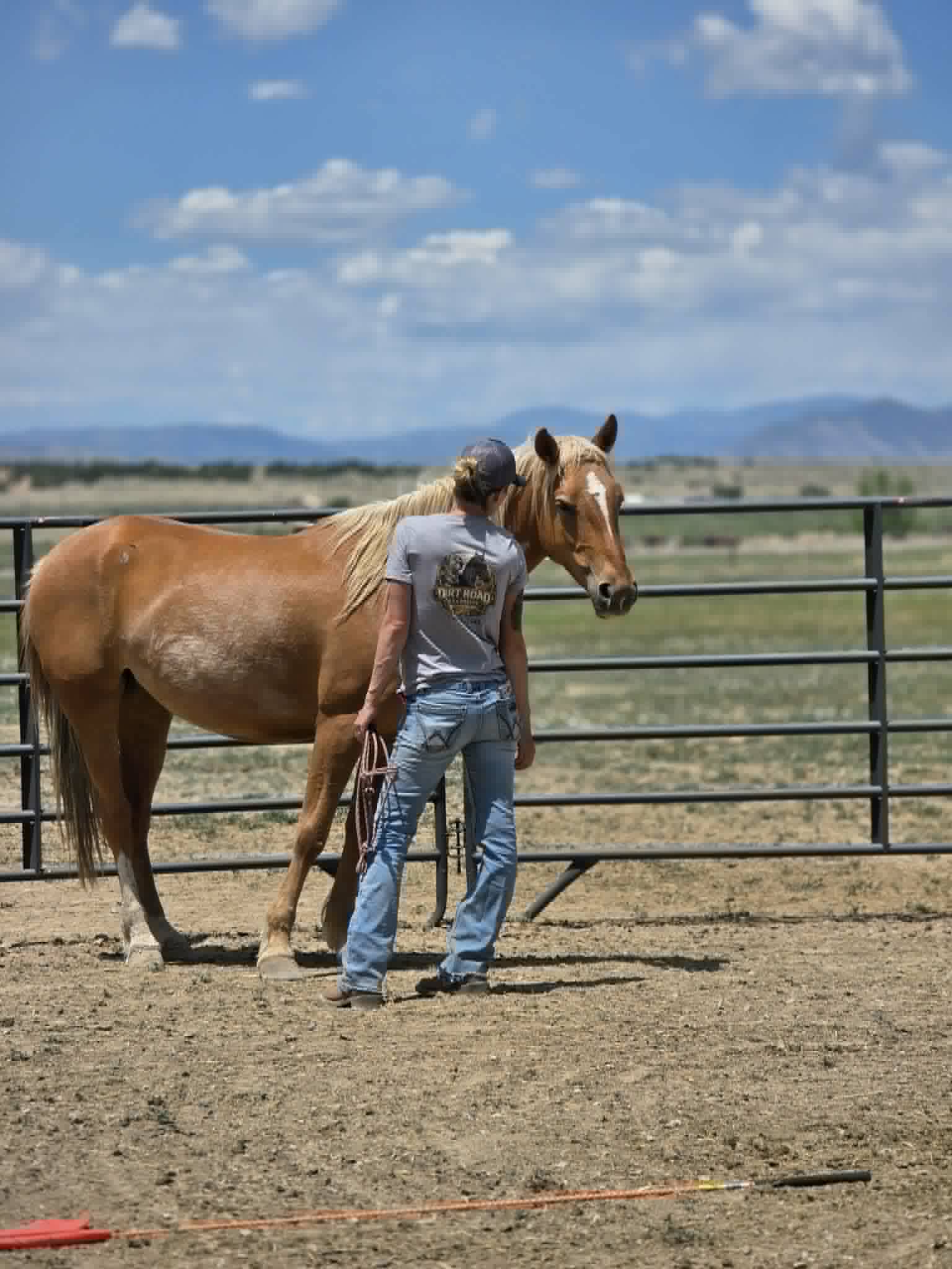 Horse Boarding