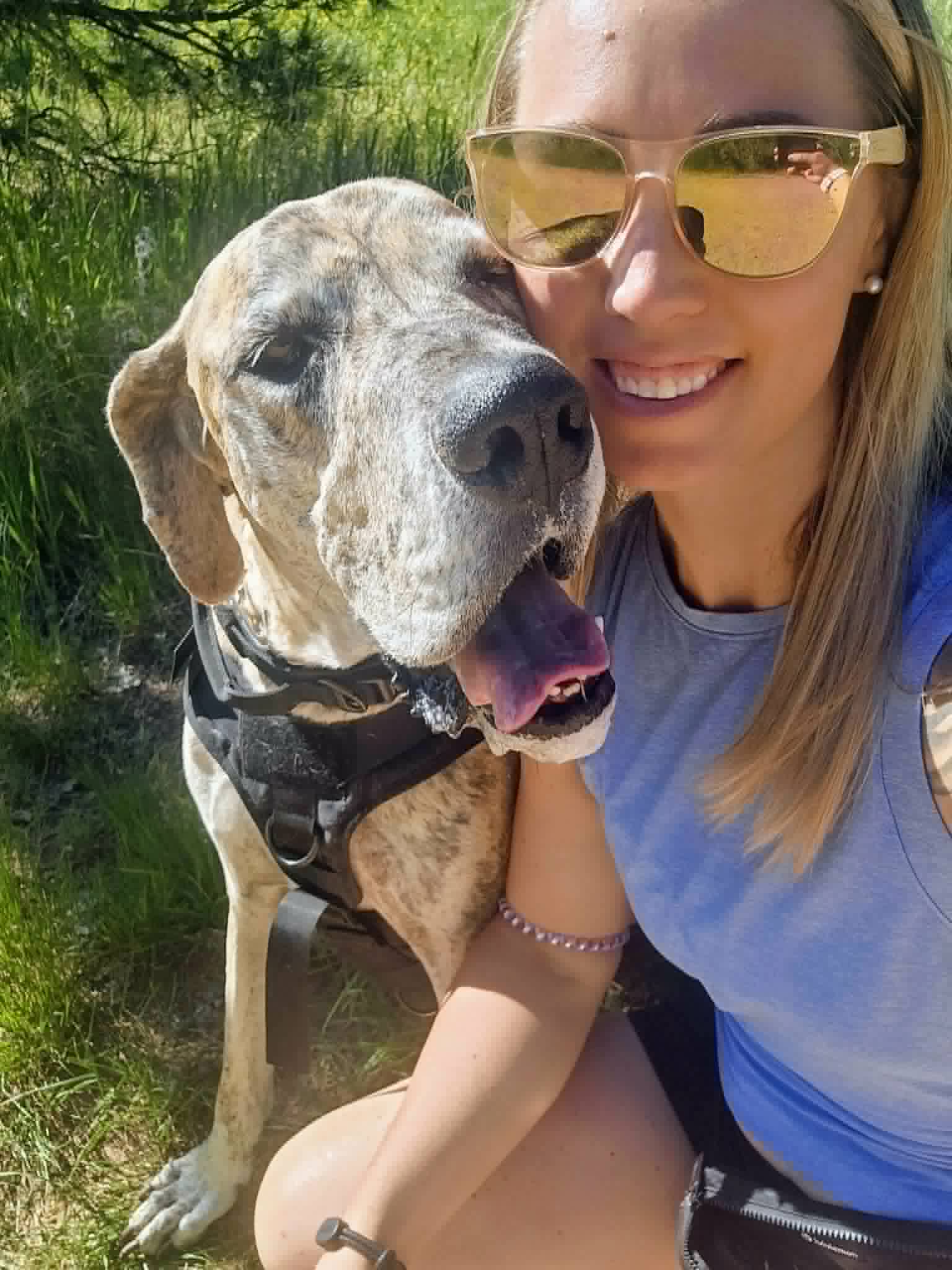 Dog Training